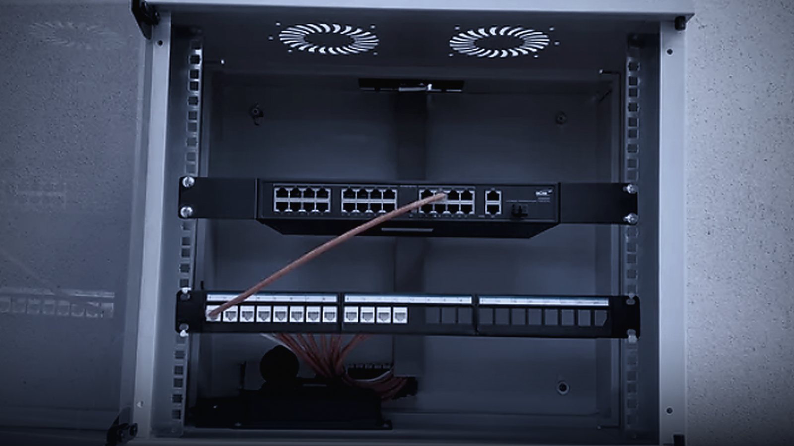 Duvar tipi kabin içinde 24 portluk switch ve sonlandırılmış patch panel